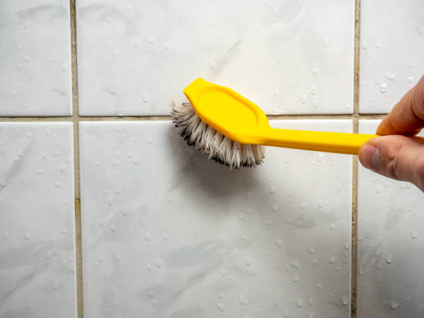 Best Toxic Mold Removal  in Meadowbrook, AL