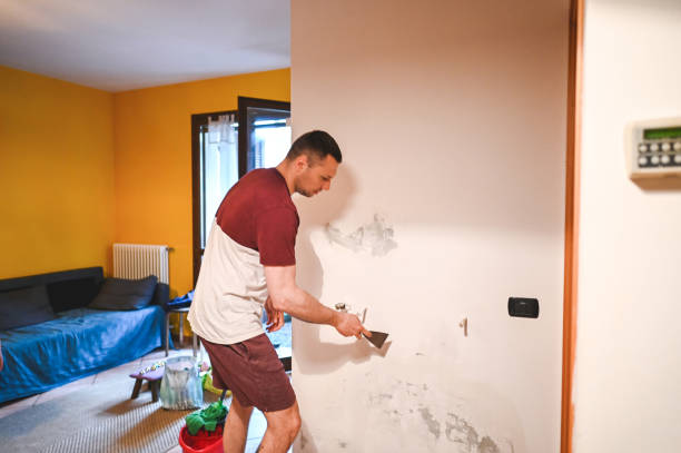 Best Attic Mold Removal  in Meadowbrook, AL